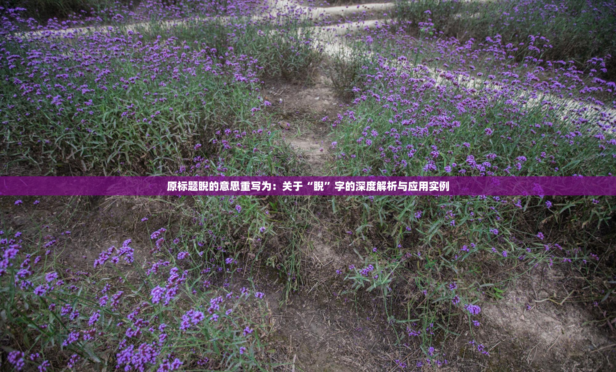 原标题睨的意思重写为：关于“睨”字的深度解析与应用实例