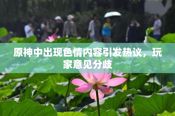 原神中出现色情内容引发热议，玩家意见分歧