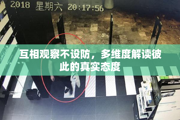 互相观察不设防，多维度解读彼此的真实态度