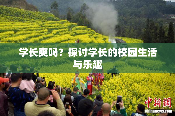 学长爽吗？探讨学长的校园生活与乐趣