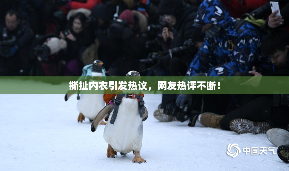 撕扯内衣引发热议，网友热评不断！