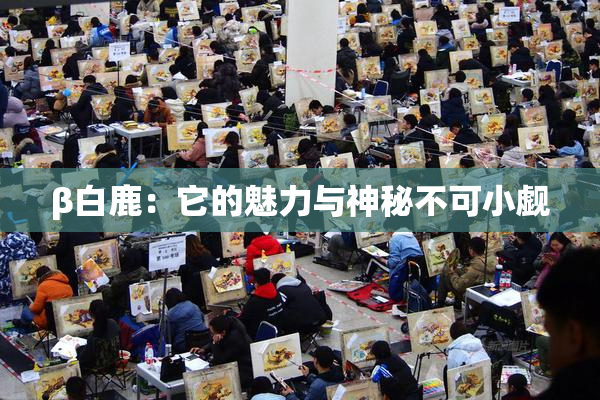 β白鹿：它的魅力与神秘不可小觑