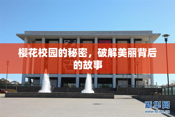 樱花校园的秘密，破解美丽背后的故事