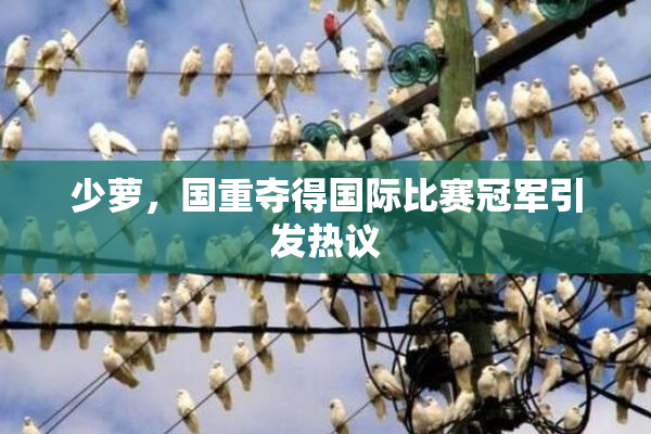 少萝，国重夺得国际比赛冠军引发热议