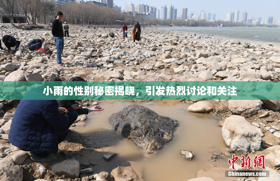 小雨的性别秘密揭晓，引发热烈讨论和关注