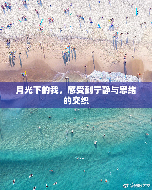 月光下的我，感受到宁静与思绪的交织