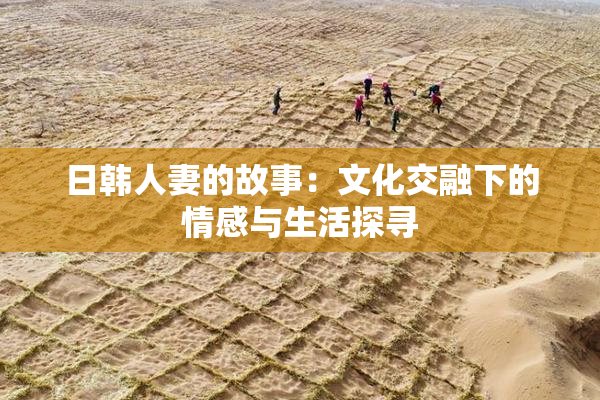 日韩人妻的故事：文化交融下的情感与生活探寻
