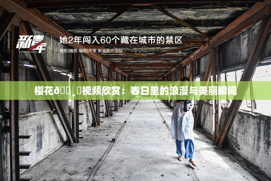 樱花🌸‌视频欣赏：春日里的浪漫与美丽瞬间