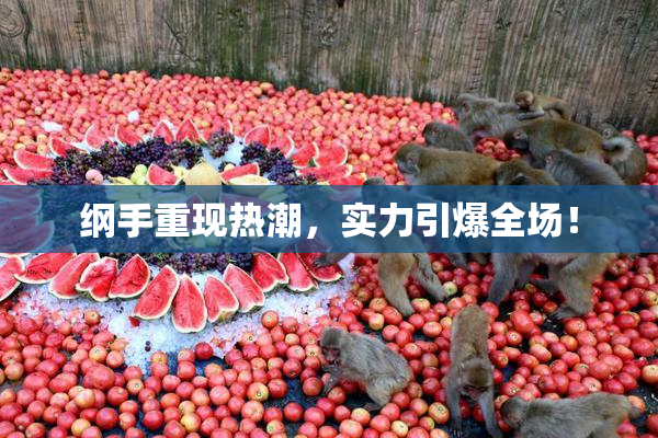 纲手重现热潮，实力引爆全场！