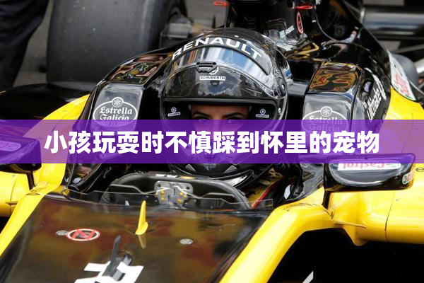 小孩玩耍时不慎踩到怀里的宠物