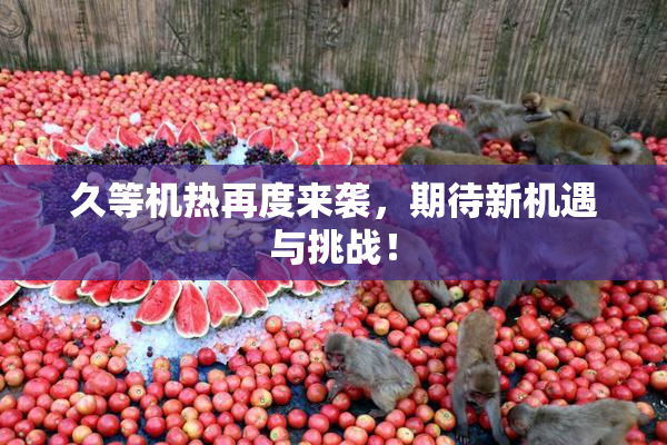 久等机热再度来袭，期待新机遇与挑战！