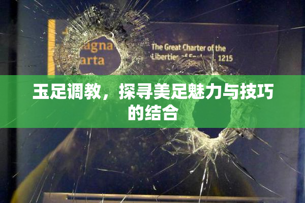 玉足调教，探寻美足魅力与技巧的结合