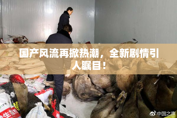 国产风流再掀热潮，全新剧情引人瞩目！