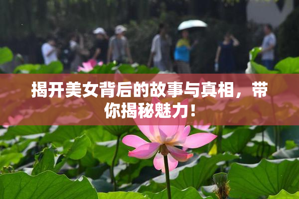 揭开美女背后的故事与真相，带你揭秘魅力！