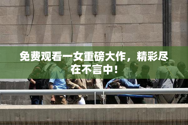 免费观看一女重磅大作，精彩尽在不言中！
