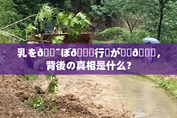乳を🔯ぼ🌃行為が話題🎆，背後の真相是什么？