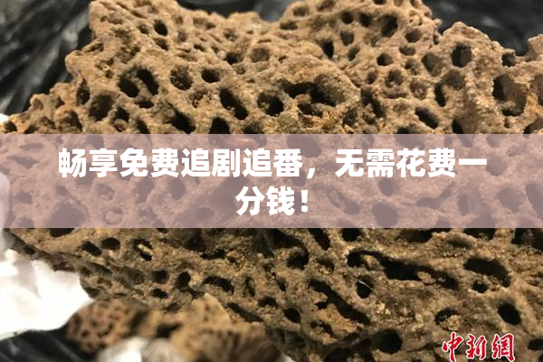 畅享免费追剧追番，无需花费一分钱！