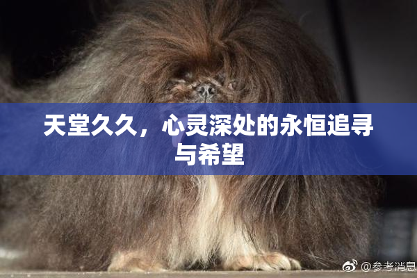 天堂久久，心灵深处的永恒追寻与希望