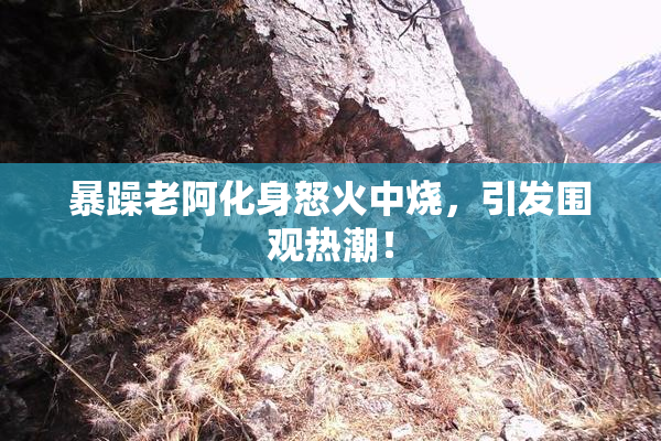 暴躁老阿化身怒火中烧，引发围观热潮！
