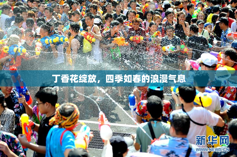 丁香花绽放，四季如春的浪漫气息