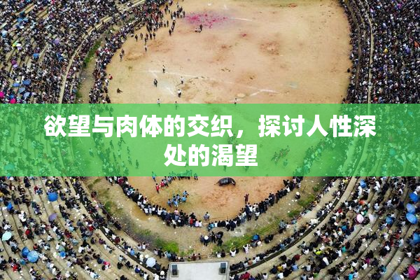 欲望与肉体的交织，探讨人性深处的渴望