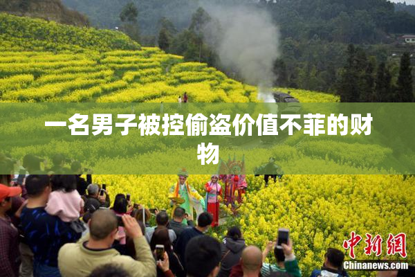 一名男子被控偷盗价值不菲的财物
