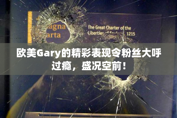 欧美Gary的精彩表现令粉丝大呼过瘾，盛况空前！