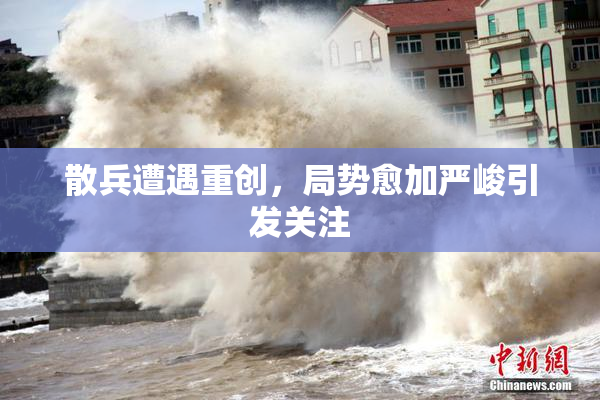 散兵遭遇重创，局势愈加严峻引发关注