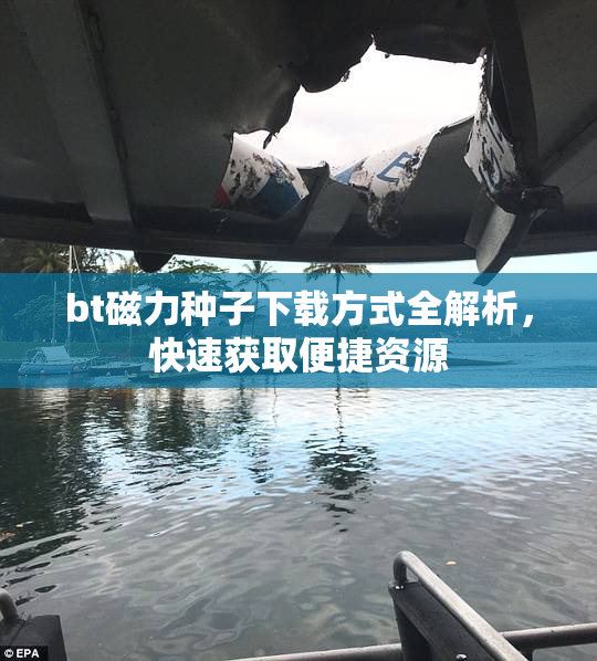 bt磁力种子下载方式全解析，快速获取便捷资源