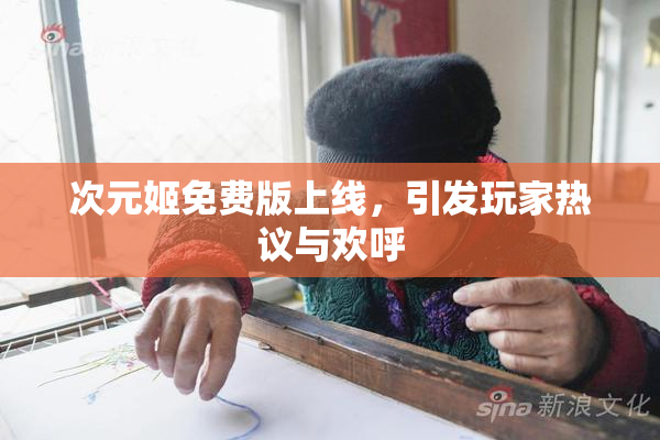 次元姬免费版上线，引发玩家热议与欢呼