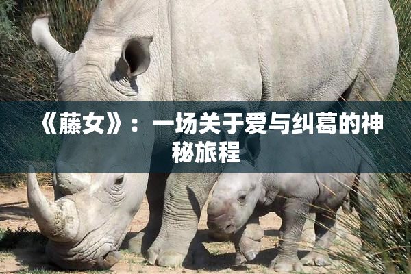 《藤女》：一场关于爱与纠葛的神秘旅程