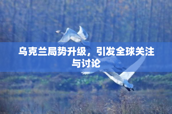 乌克兰局势升级，引发全球关注与讨论
