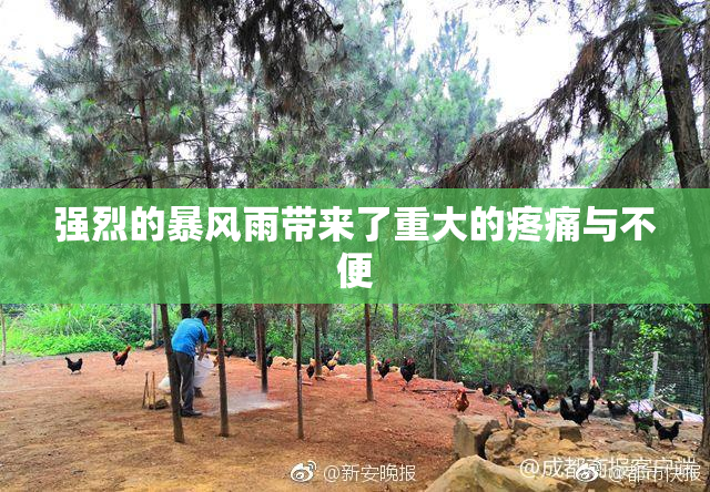 强烈的暴风雨带来了重大的疼痛与不便