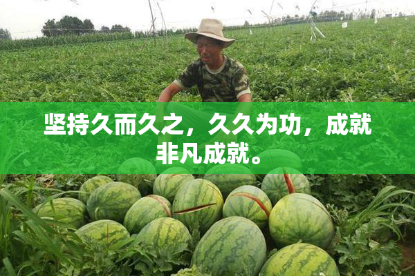 坚持久而久之，久久为功，成就非凡成就。