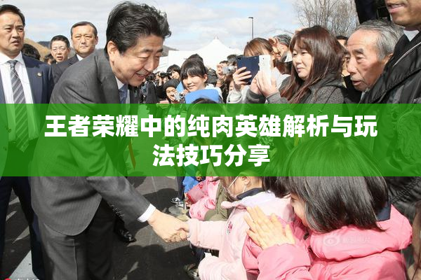 王者荣耀中的纯肉英雄解析与玩法技巧分享