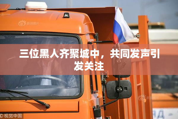 三位黑人齐聚城中，共同发声引发关注