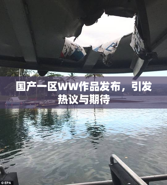 国产一区WW作品发布，引发热议与期待