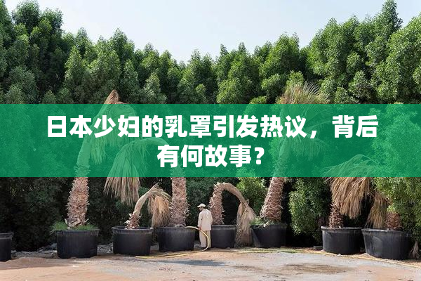 日本少妇的乳罩引发热议，背后有何故事？