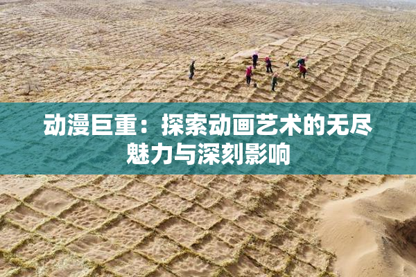 动漫巨重：探索动画艺术的无尽魅力与深刻影响