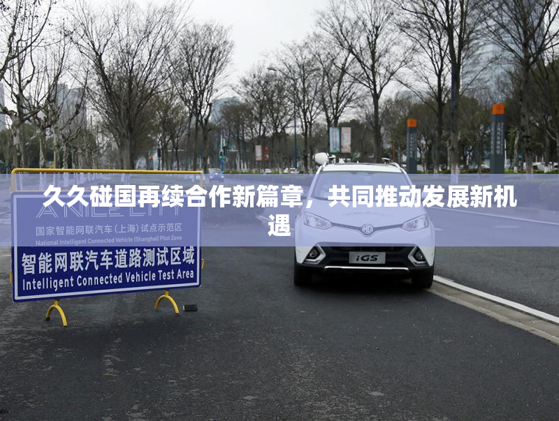 久久碰国再续合作新篇章，共同推动发展新机遇
