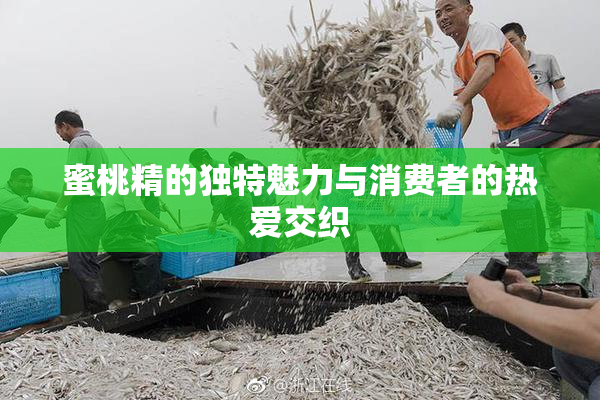 蜜桃精的独特魅力与消费者的热爱交织