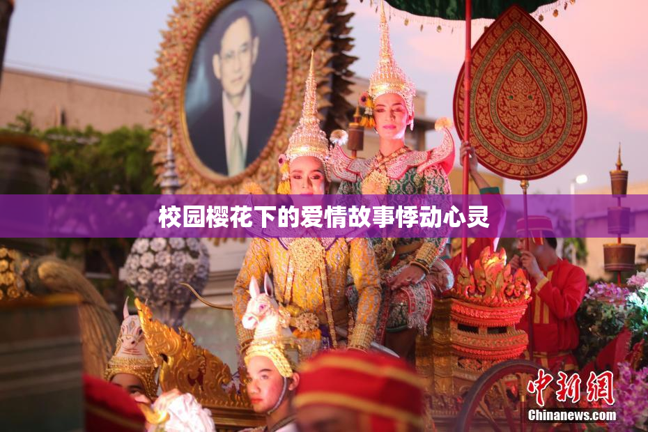 校园樱花下的爱情故事悸动心灵