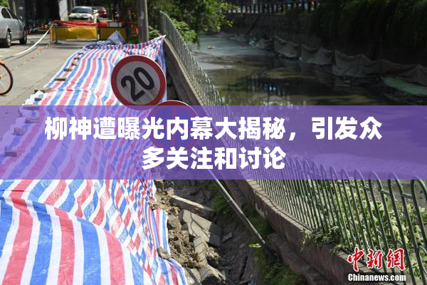 柳神遭曝光内幕大揭秘，引发众多关注和讨论