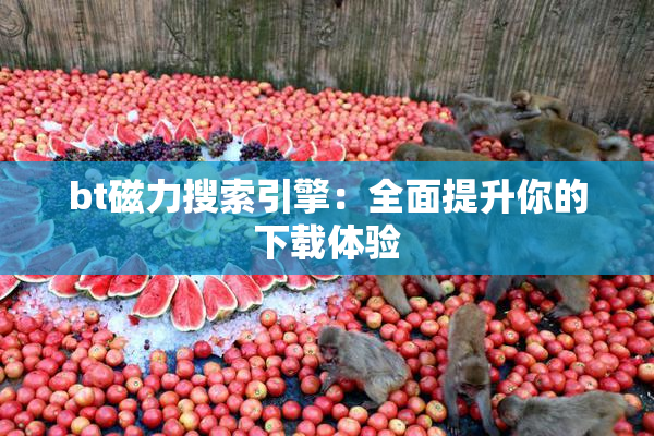 bt磁力搜索引擎：全面提升你的下载体验