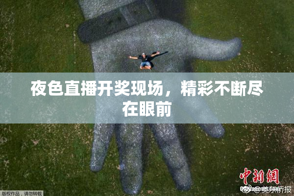 夜色直播开奖现场，精彩不断尽在眼前