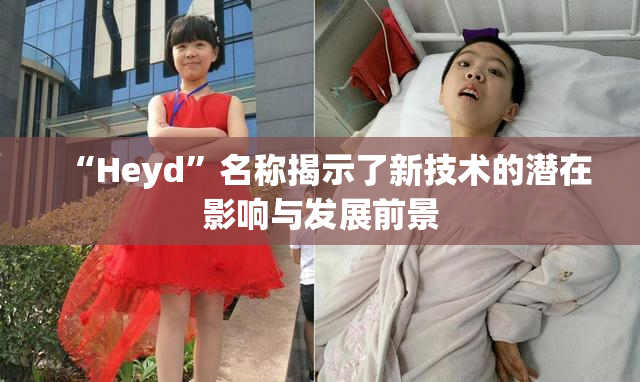 “Heyd”名称揭示了新技术的潜在影响与发展前景