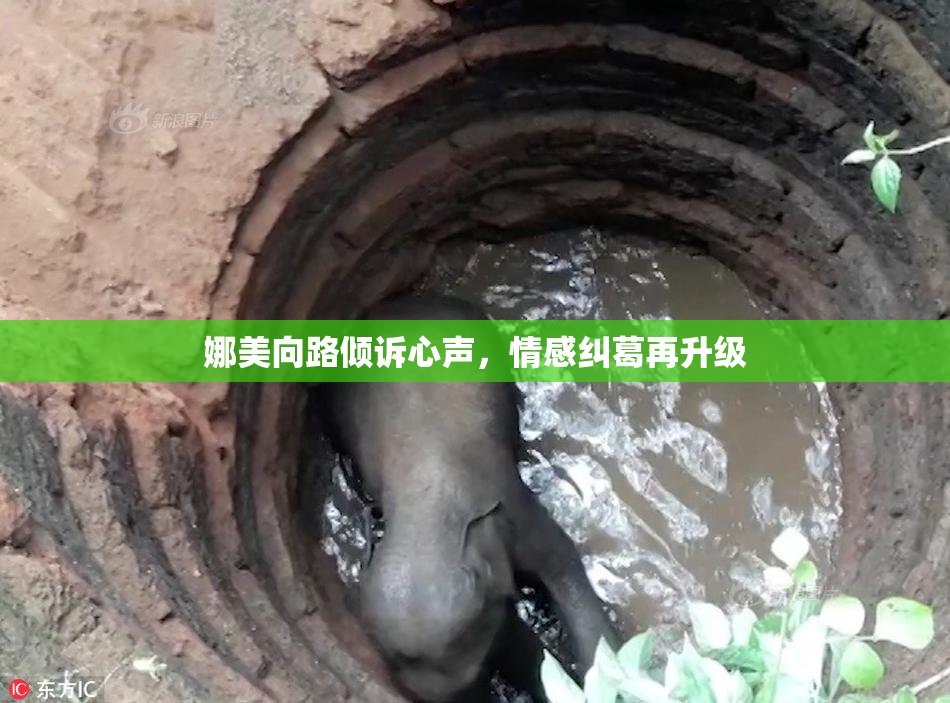娜美向路倾诉心声，情感纠葛再升级