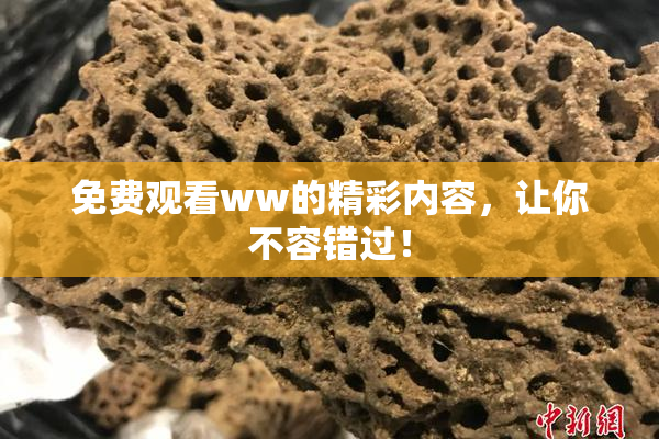 免费观看ww的精彩内容，让你不容错过！