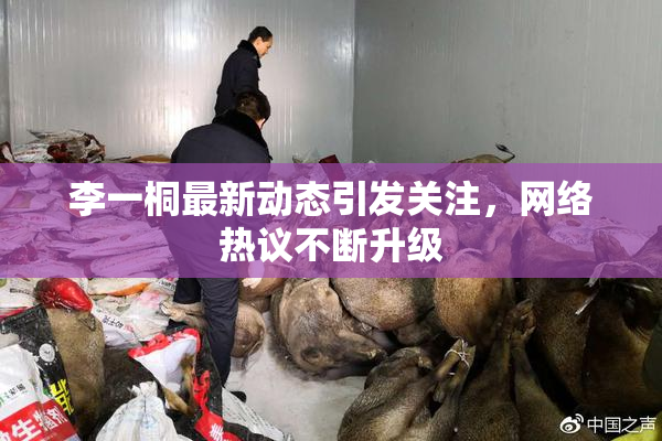 李一桐最新动态引发关注，网络热议不断升级