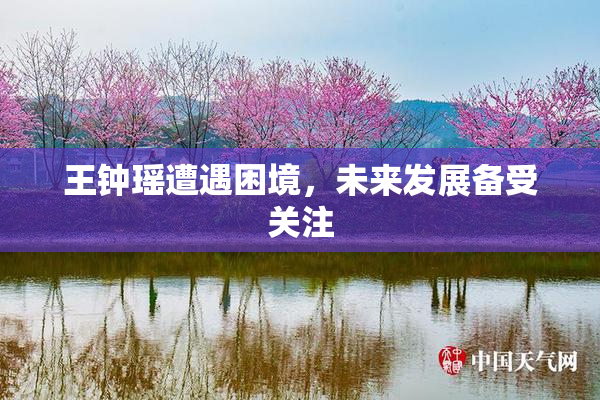 王钟瑶遭遇困境，未来发展备受关注
